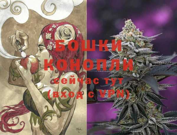 хмурый Нея