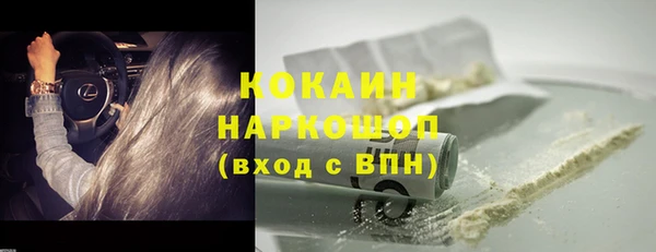 дживик Надым