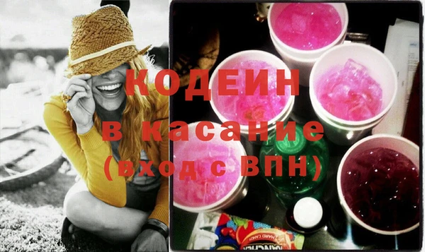 хмурый Нея