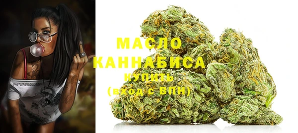 дживик Надым