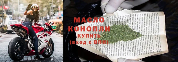 дживик Надым