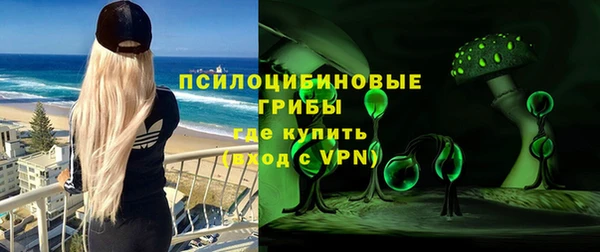 дживик Надым