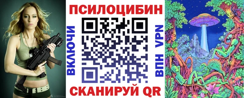 Галлюциногенные грибы Psilocybe  Купить где  Светлый 